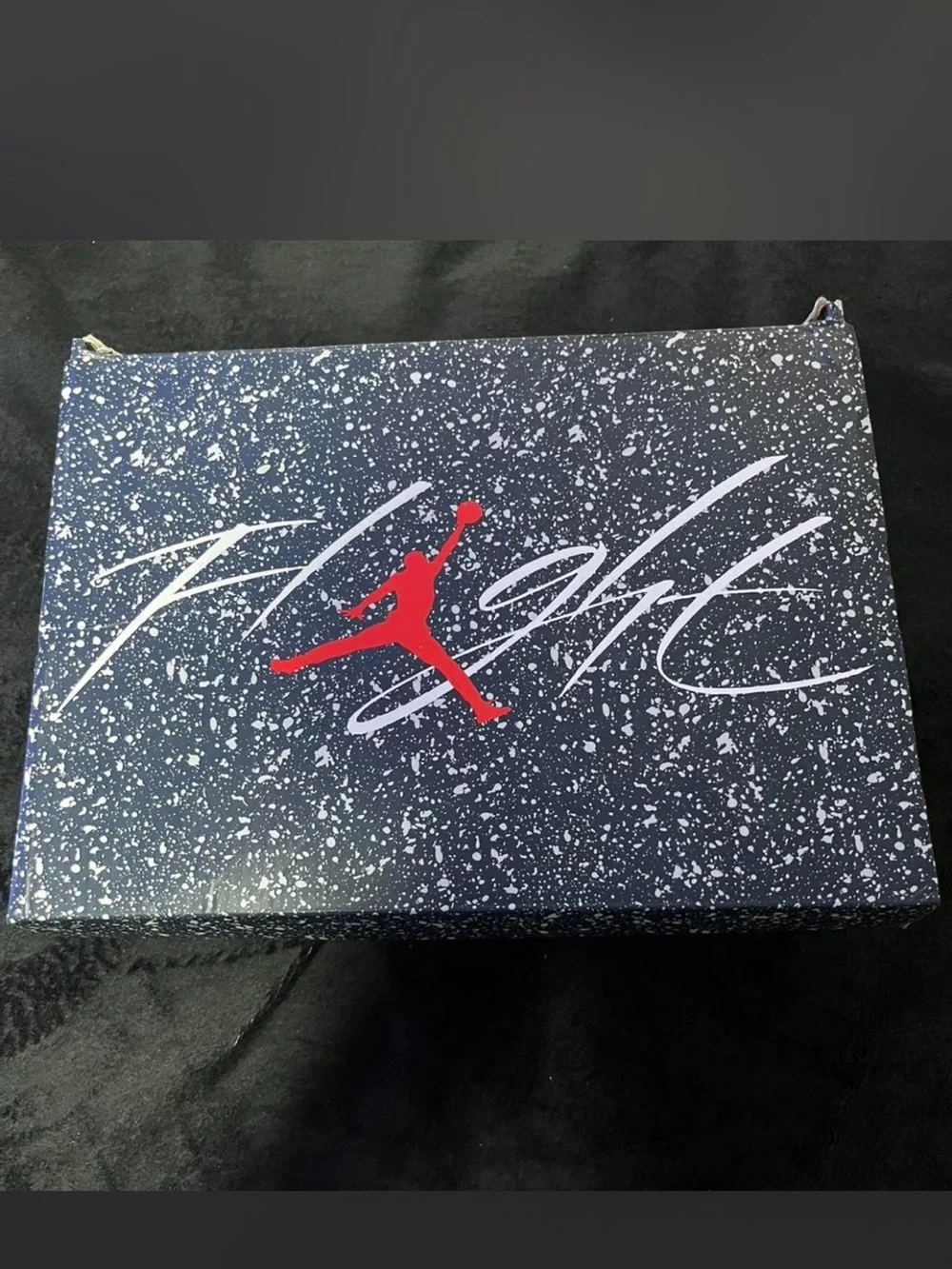 Jordan iconic silhouette